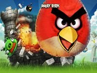 pic for angry birds 